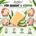 Aloe Vera Sponge Soap