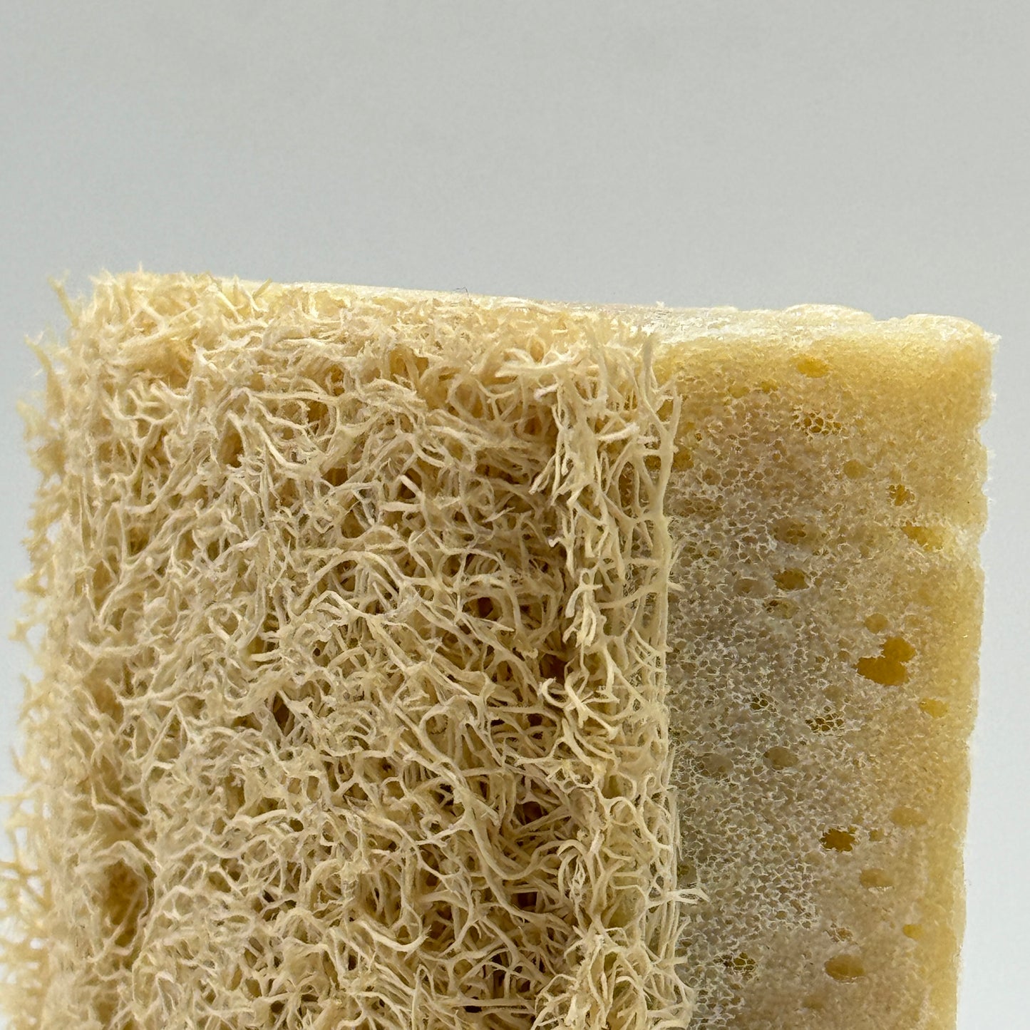 LOOFAH-SPONGE Soap - Schwarzkümmel Öl