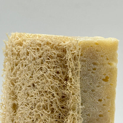 LOOFAH-SPONGE Soap - Schwarzkümmel Öl